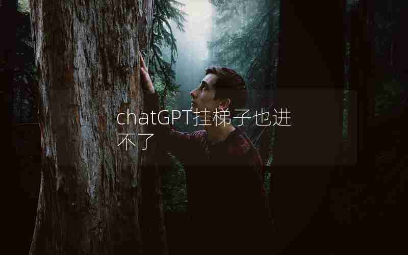 chatGPT挂梯子也进不了