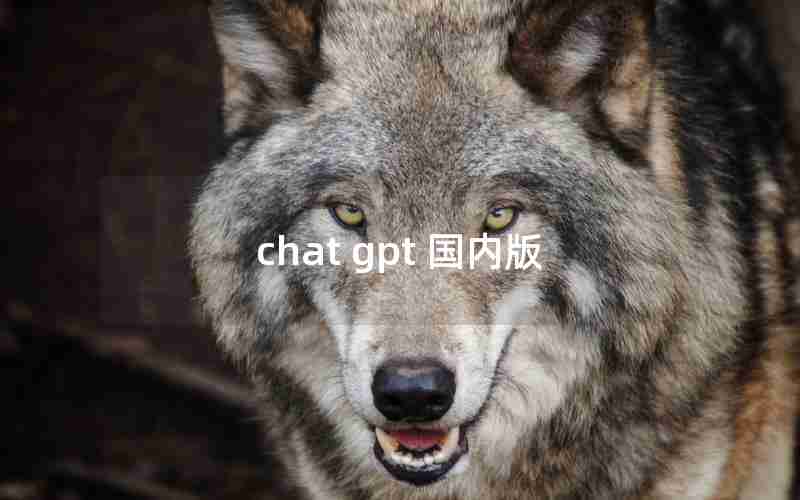 chat gpt 国内版