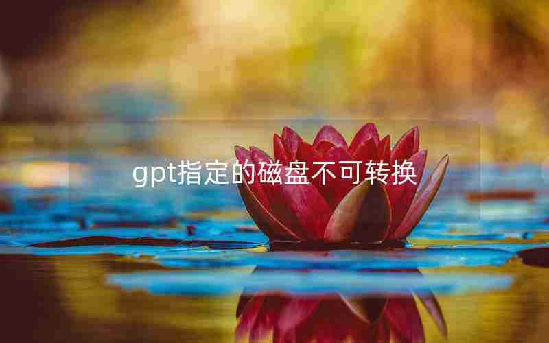 gpt指定的磁盘不可转换