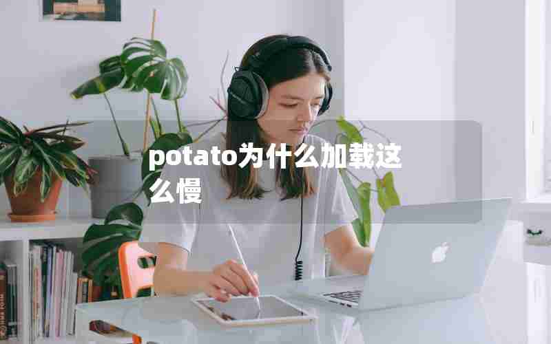 potato为什么加载这么慢