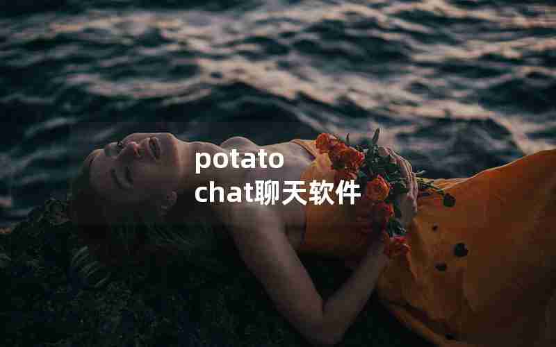 potato chat聊天软件