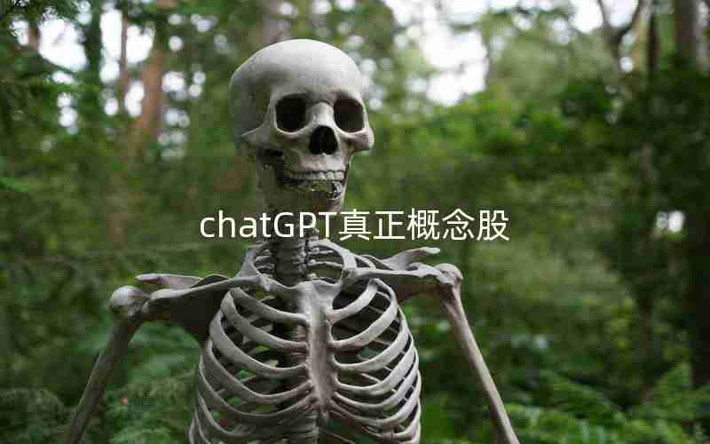 chatGPT真正概念股