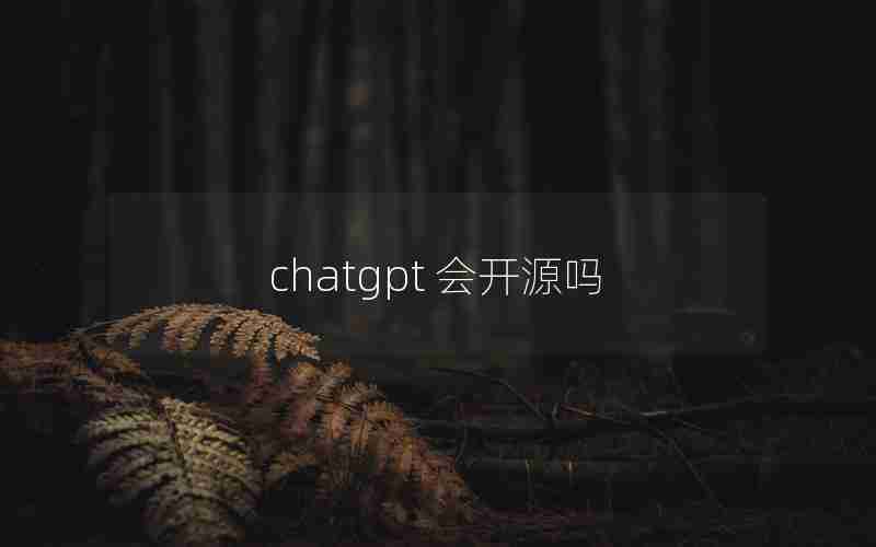 chatgpt 会开源吗(ChatGPT中国可以用吗)