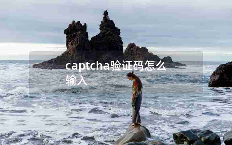 captcha验证码怎么输入