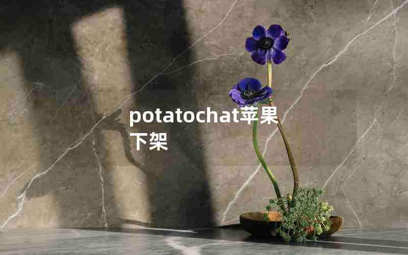 potatochat苹果下架