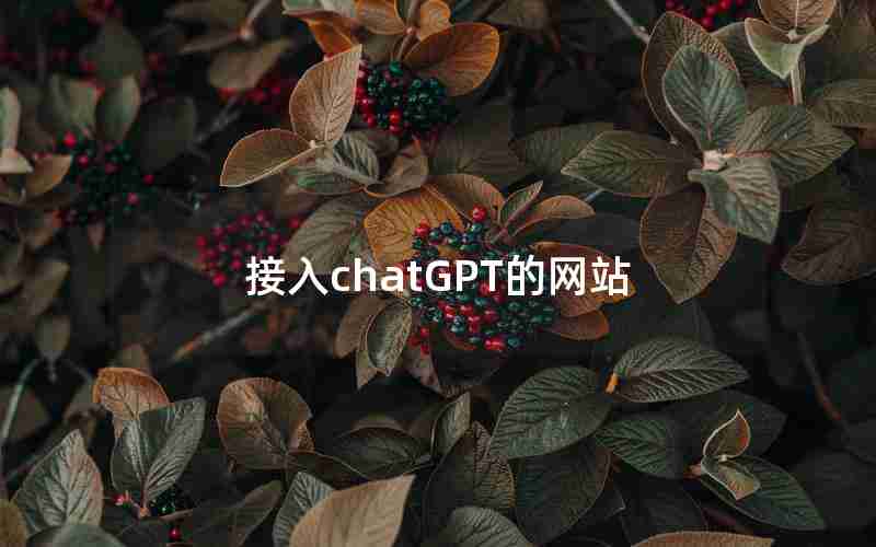 接入chatGPT的网站