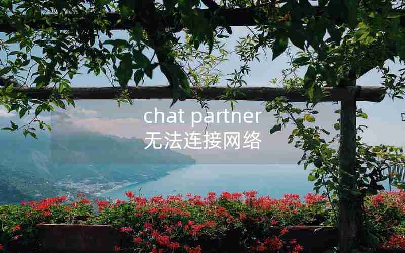 chat partner无法连接网络