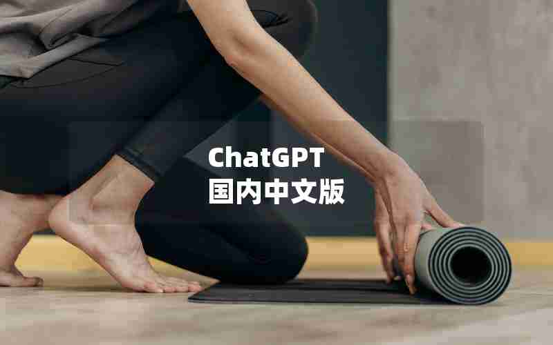 ChatGPT 国内中文版