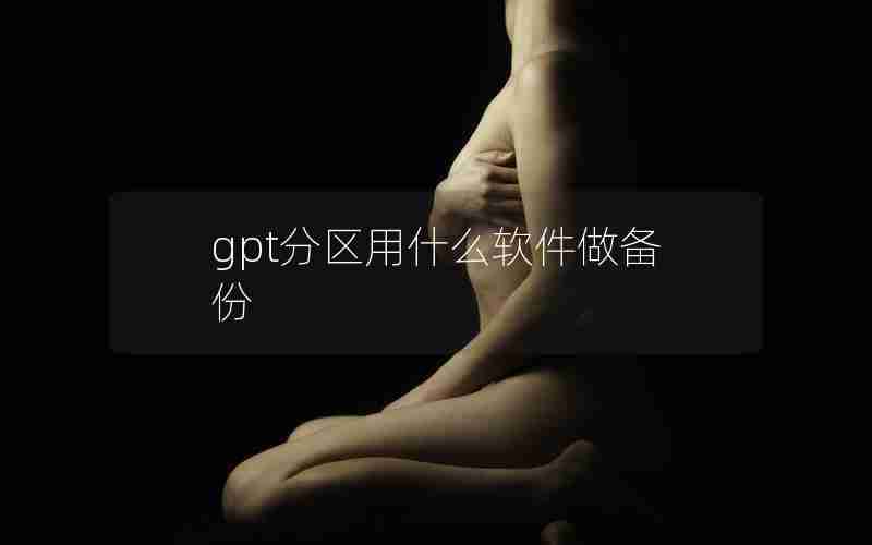 gpt分区用什么软件做备份