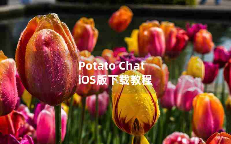 Potato Chat iOS版下载教程