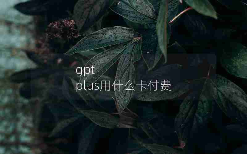 gpt plus用什么卡付费