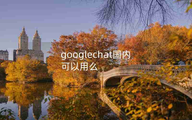 googlechat国内可以用么