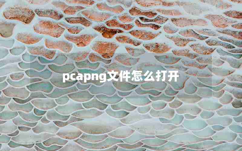 pcapng文件怎么打开