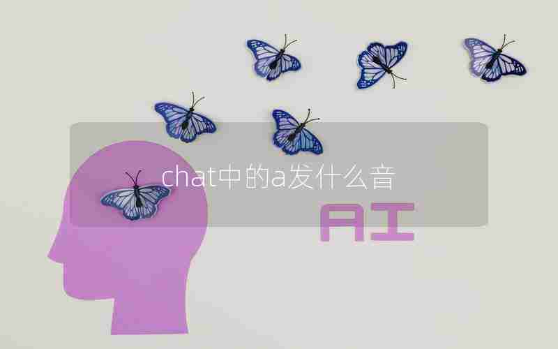 chat中的a发什么音