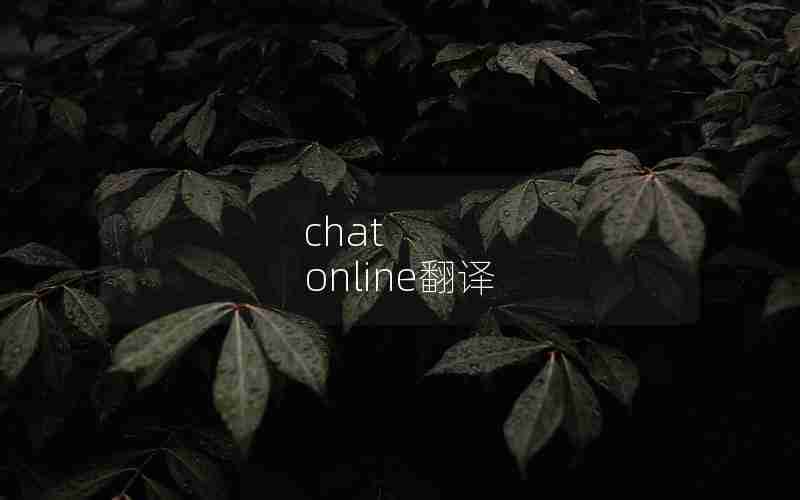 chat online翻译