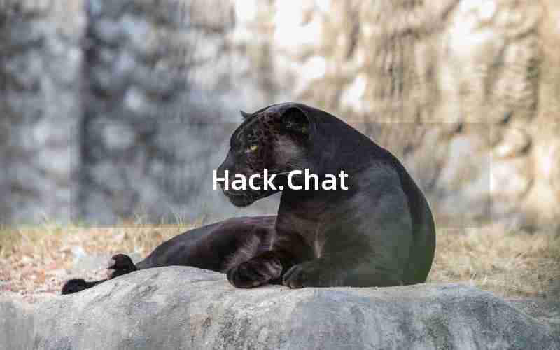 Hack.Chat