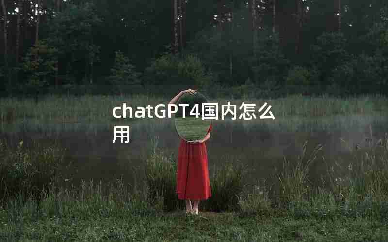 chatGPT4国内怎么用