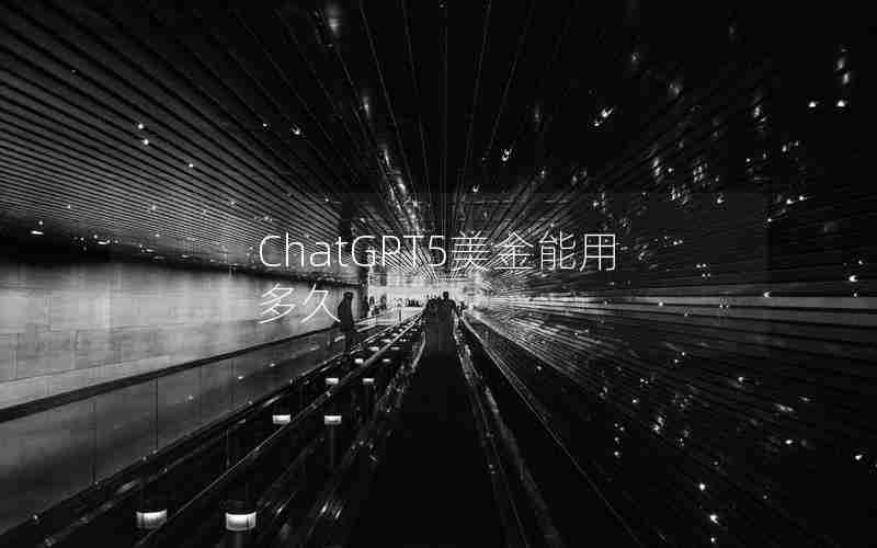 ChatGPT5美金能用多久