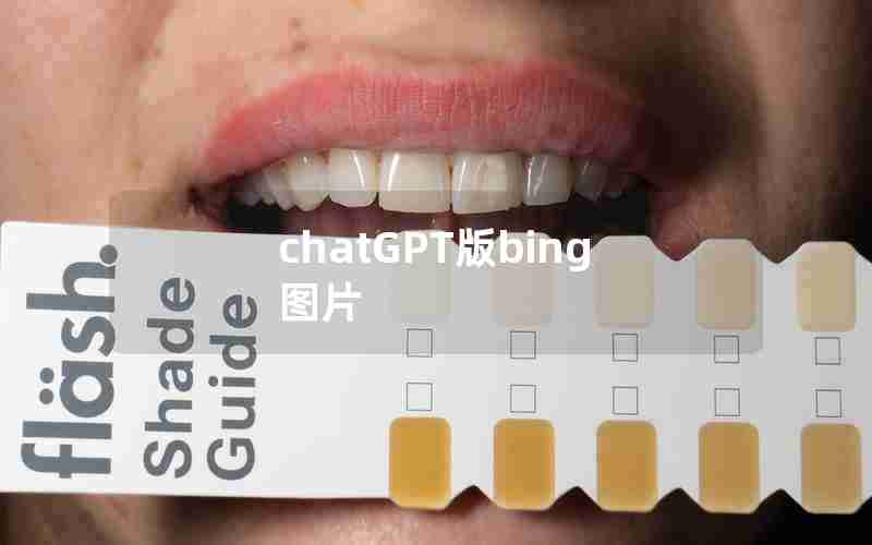 chatGPT版bing图片(微软chat GPT版bing)