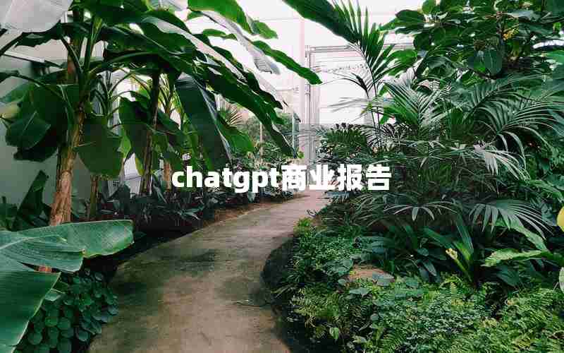 chatgpt商业报告-关于chatGPT的报告书