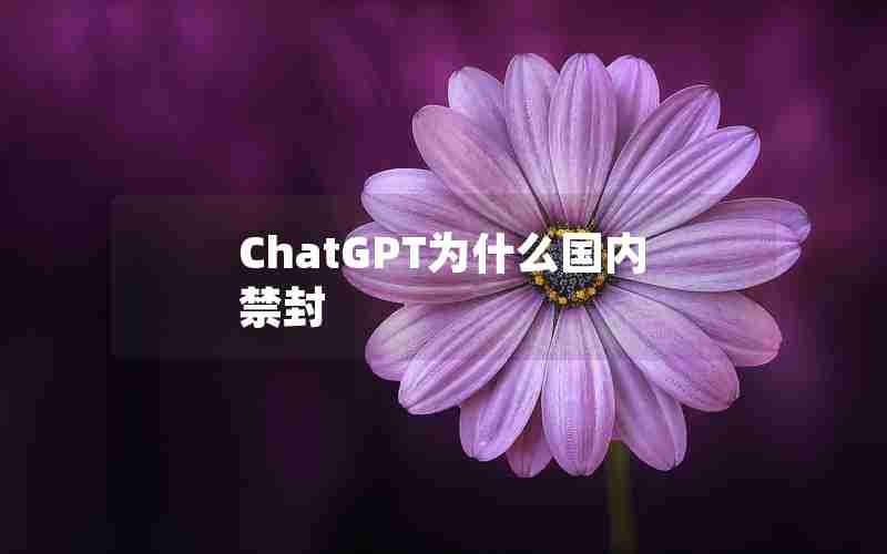 ChatGPT为什么国内禁封