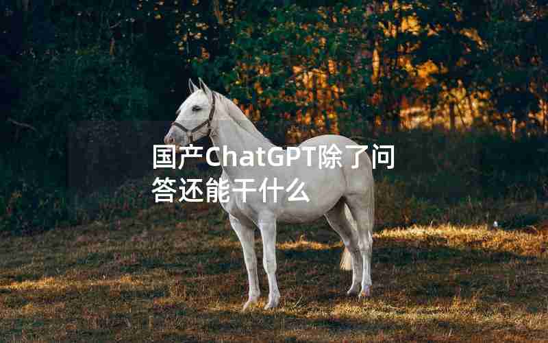 国产ChatGPT除了问答还能干什么