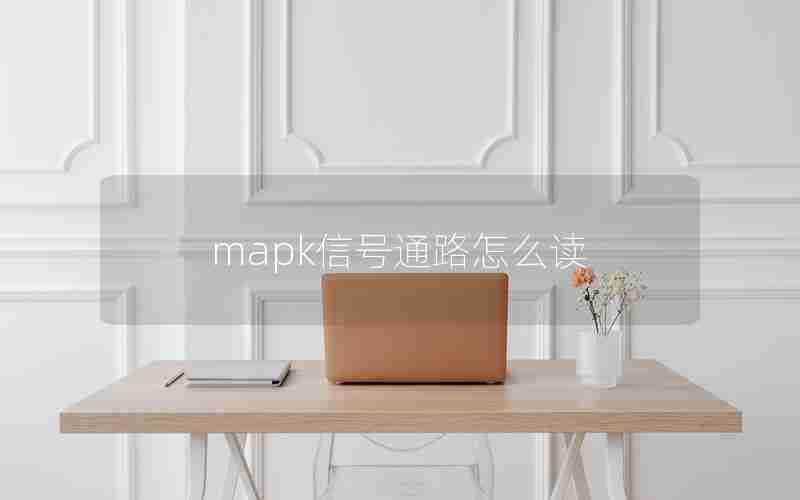 mapk信号通路怎么读