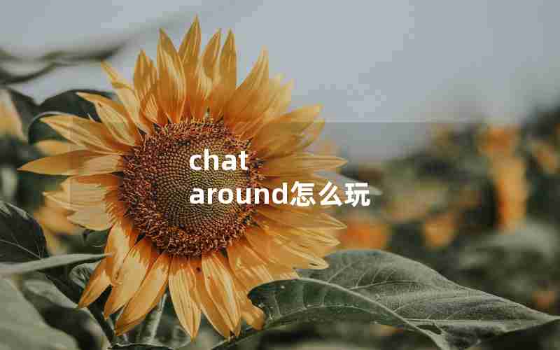 chat around怎么玩