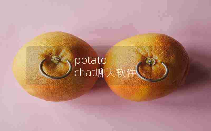 potato chat聊天软件