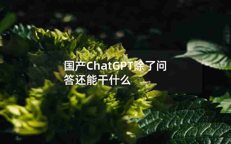 国产ChatGPT除了问答还能干什么(ChatGPT网页版和接口)