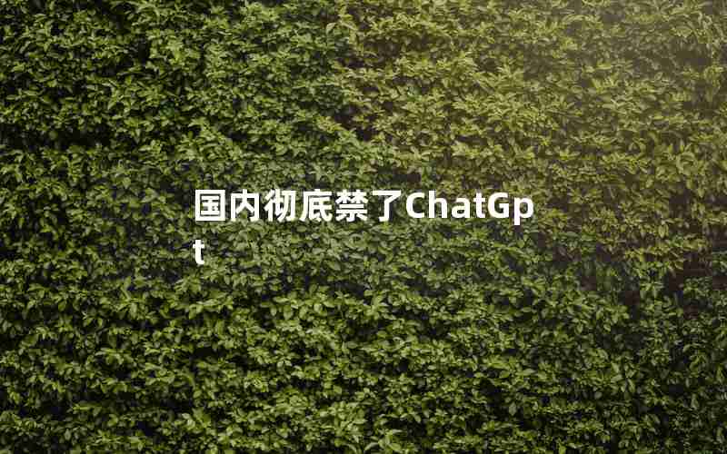 国内彻底禁了ChatGpt