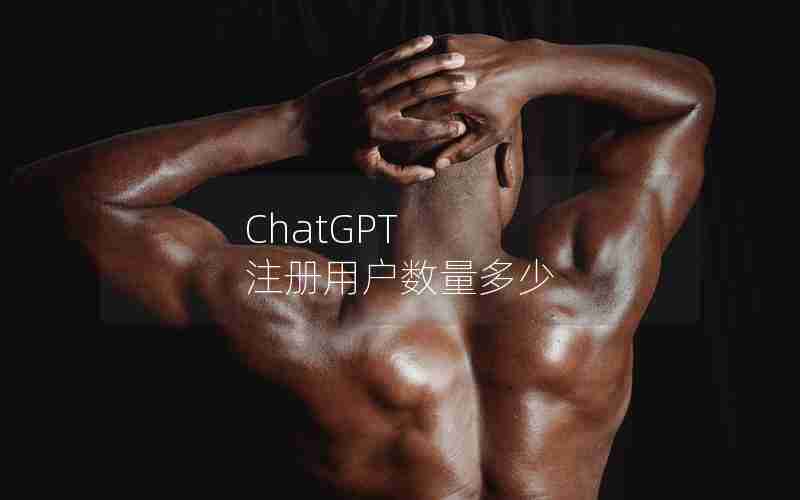 ChatGPT 注册用户数量多少