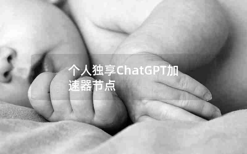 个人独享ChatGPT加速器节点