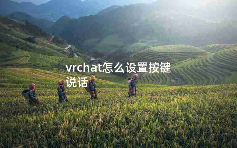 vrchat怎么设置按键说话