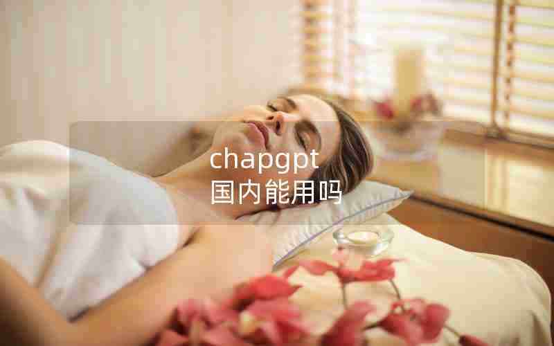 chapgpt 国内能用吗