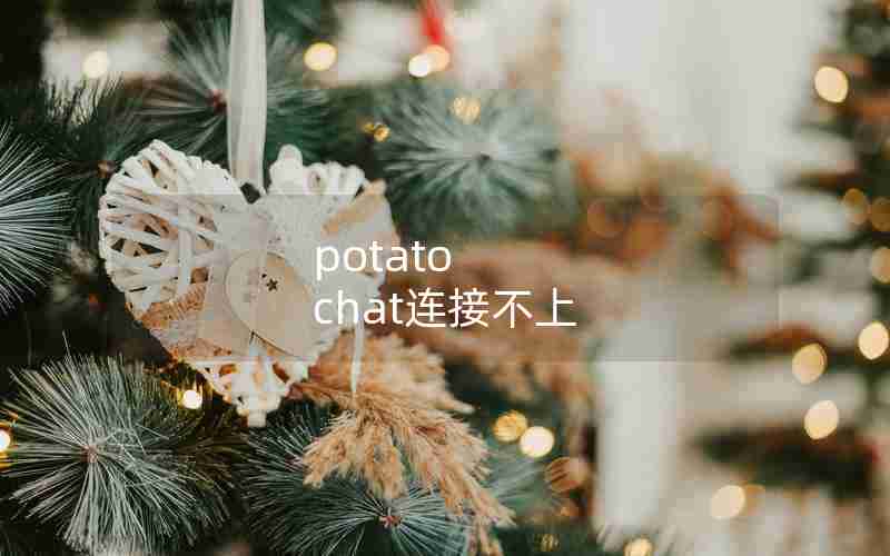 potato chat连接不上