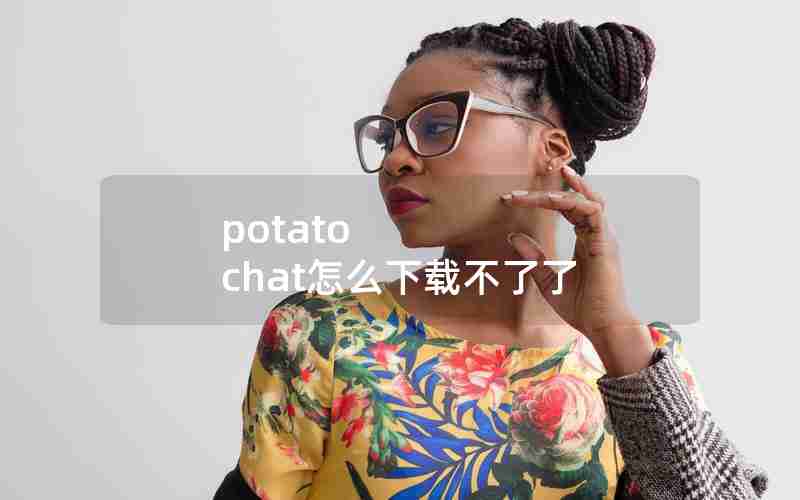 potato chat怎么下载不了了