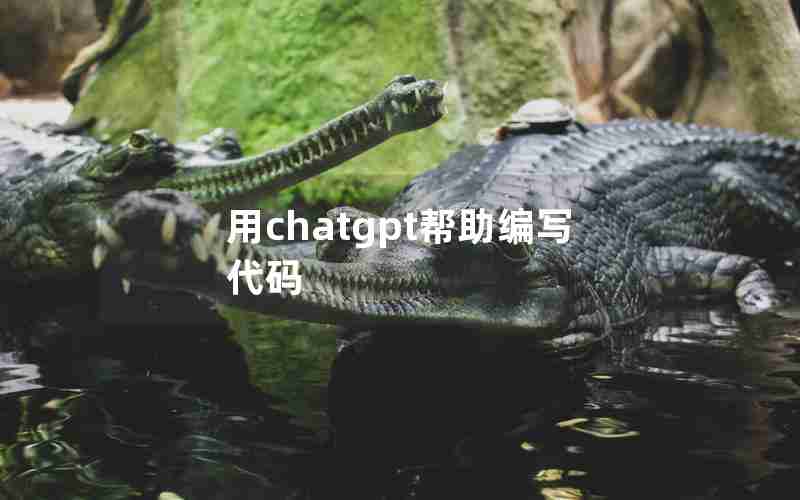 用chatgpt帮助编写代码