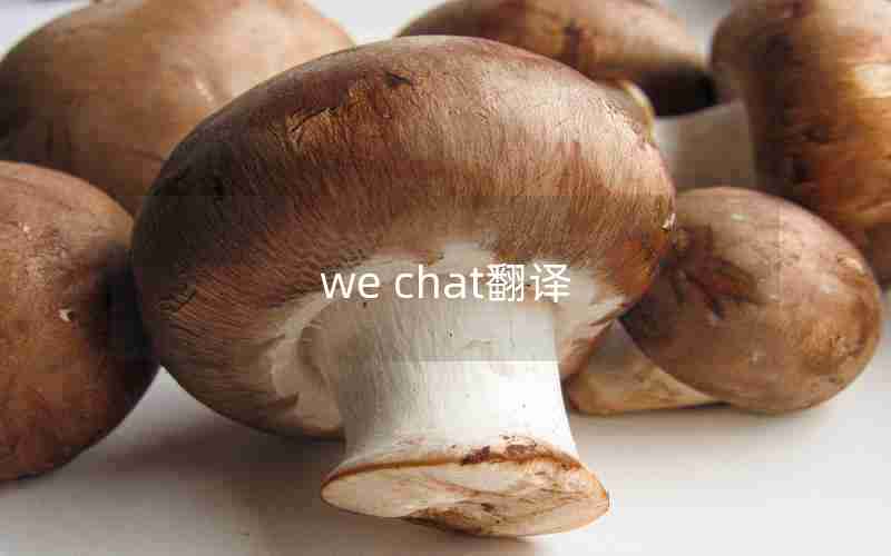 we chat翻译