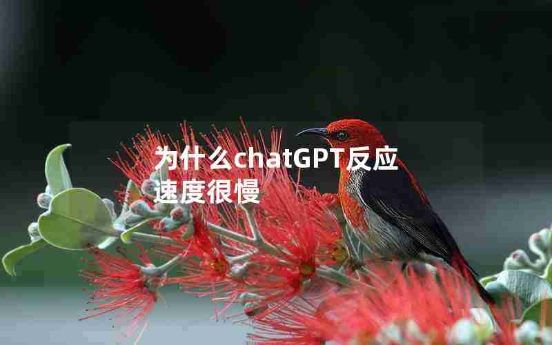 为什么chatGPT反应速度很慢