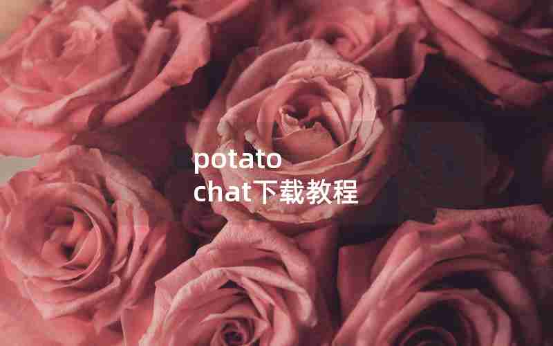 potato chat下载教程