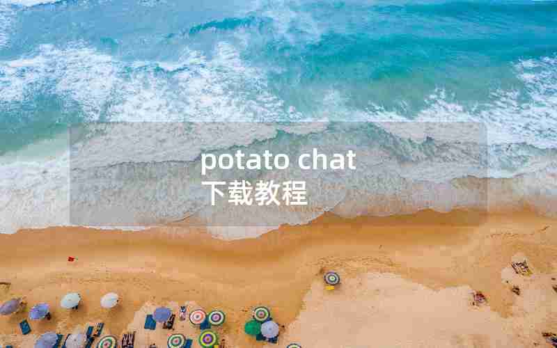 potato chat 下载教程