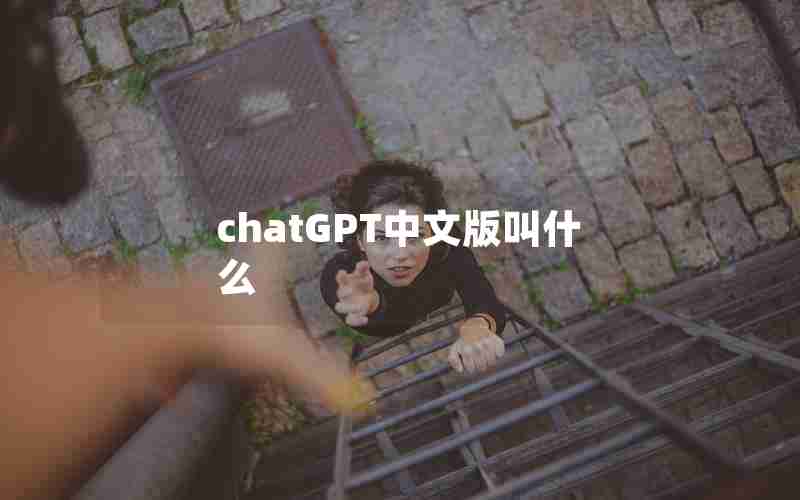 chatGPT中文版叫什么