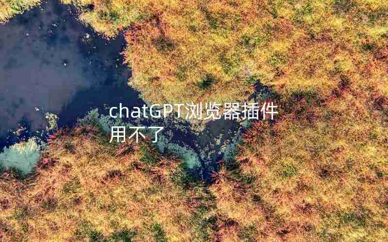 chatGPT浏览器插件用不了