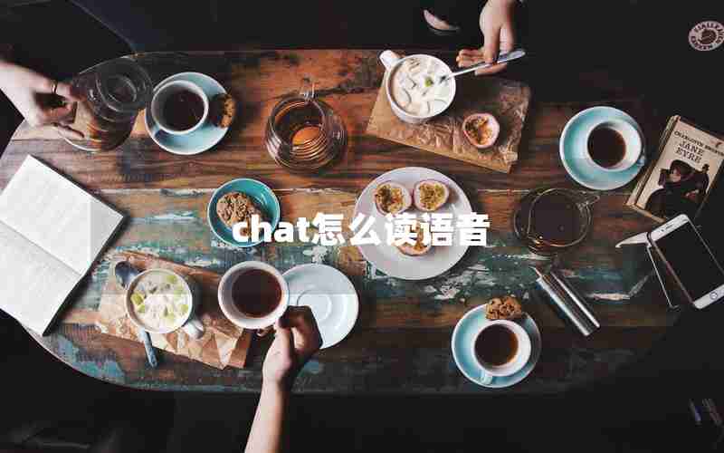 chat怎么读语音