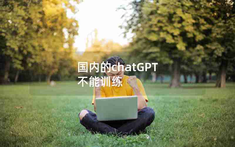 国内的chatGPT 不能训练