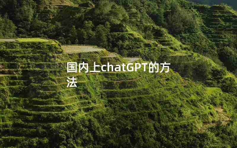 国内上chatGPT的方法