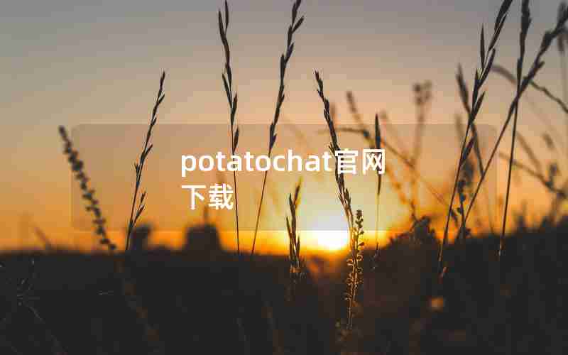 potatochat官网下载
