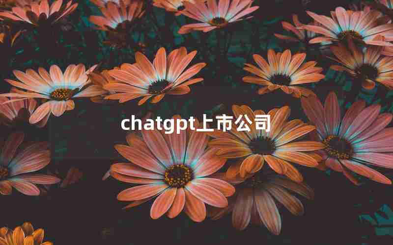 chatgpt上市公司