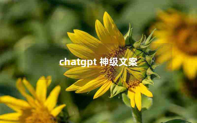 chatgpt 神级文案(wechat高质量文案)